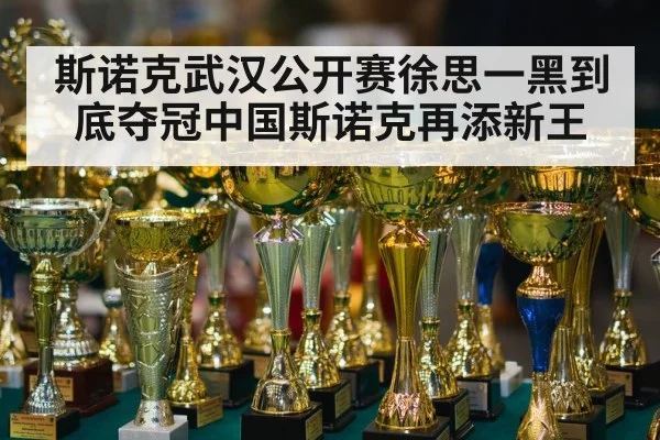 斯诺克武汉公开赛徐思一黑到底夺冠中国斯诺克再添新王