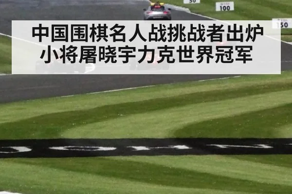 中国围棋名人战挑战者出炉 小将屠晓宇力克世界冠军